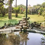 Camyuva